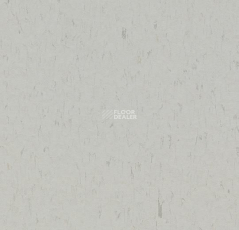 Forbo Marmoleum Solid Piano 3629-362935 frosty grey фото 1 | FLOORDEALER